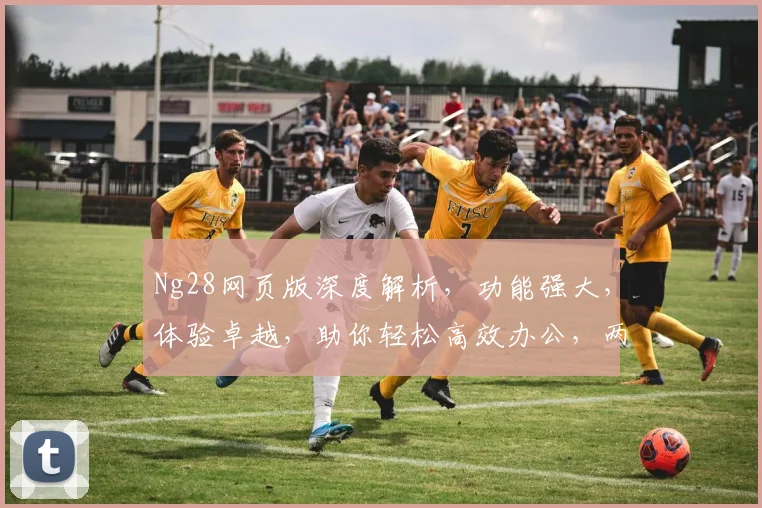 Ng28网页版深度解析，功能强大，体验卓越，助你轻松高效办公，两大亮点不容错过