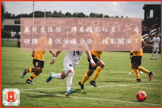 麻将竞技场，牌局精彩纷呈，一局胡牌，喜悦传遍全场，精彩瞬间不容错过