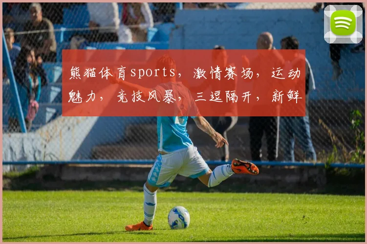熊猫体育sports，激情赛场，运动魅力，竞技风暴，三逗隔开，新鲜直击